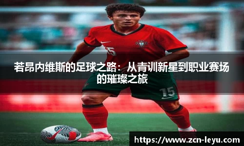 若昂内维斯的足球之路：从青训新星到职业赛场的璀璨之旅